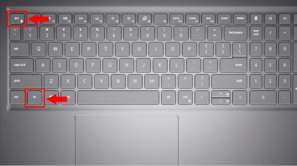 Hướng Dẫn V&ocirc; Hiệu H&oacute;a Ph&iacute;m Fn Tr&ecirc;n Laptop Acer